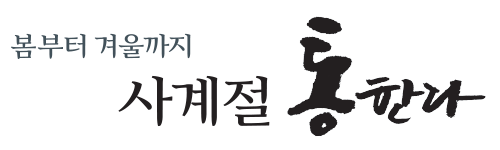 사계절통한다